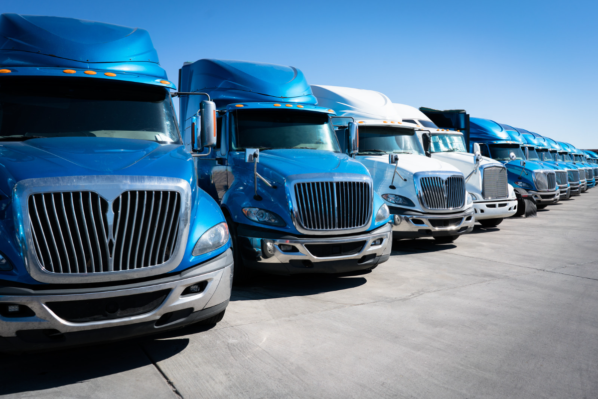 implementing a transportation management system